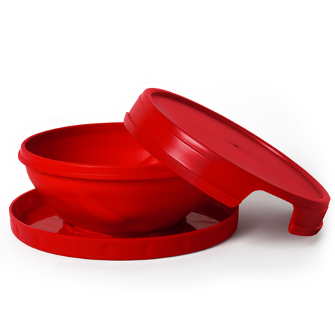 Red Bowl & Plate Set